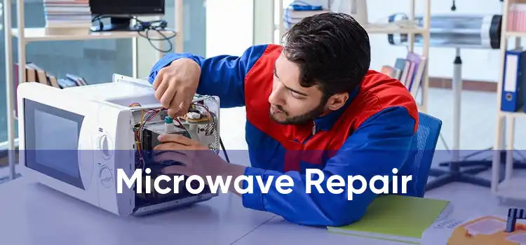 Microwave Repair 