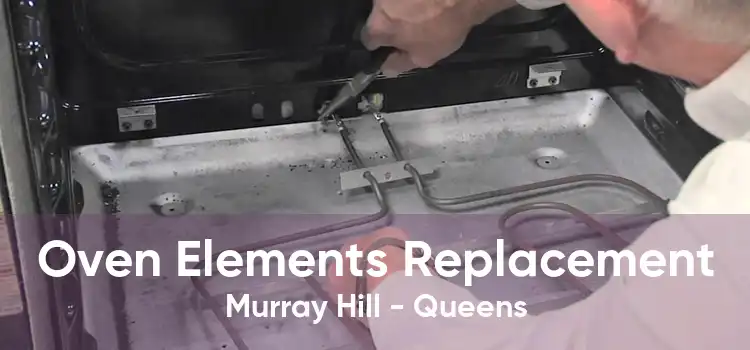 Oven Elements Replacement Murray Hill - Queens