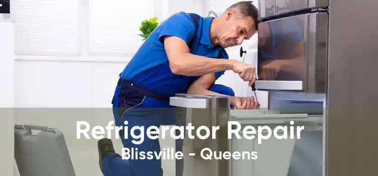 Refrigerator Repair Blissville - Queens