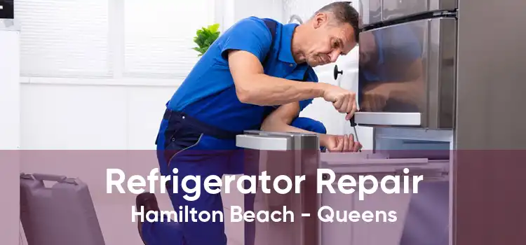 Refrigerator Repair Hamilton Beach - Queens