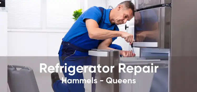 Refrigerator Repair Hammels - Queens