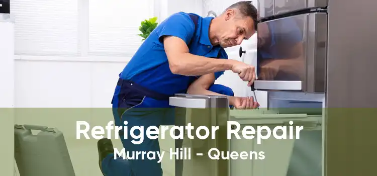 Refrigerator Repair Murray Hill - Queens