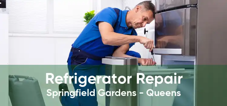 Refrigerator Repair Springfield Gardens - Queens