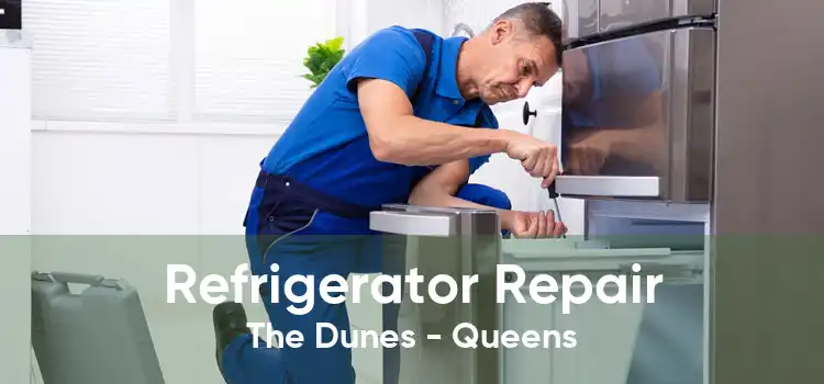 Refrigerator Repair The Dunes - Queens